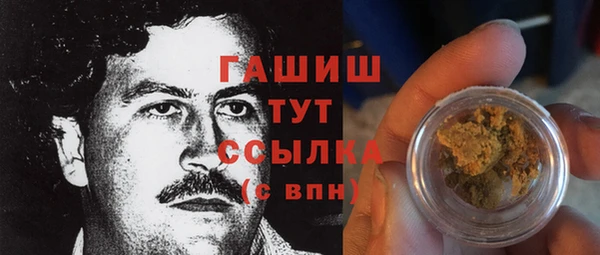 индика Бронницы