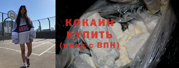a pvp Бородино
