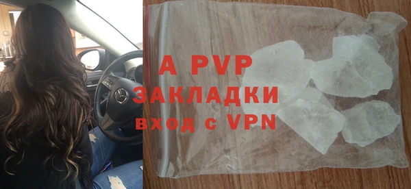 индика Бронницы