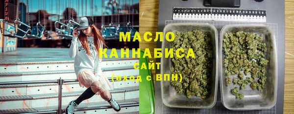 индика Бронницы