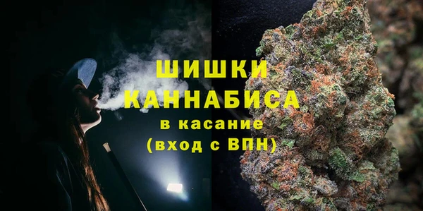 a pvp Бородино