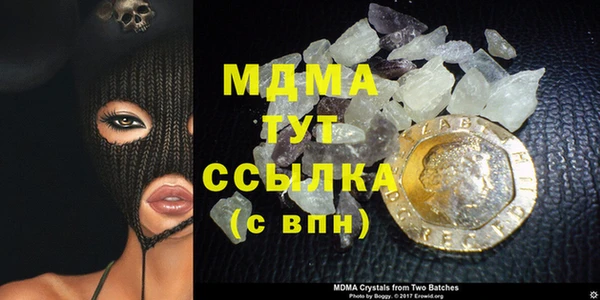 индика Бронницы