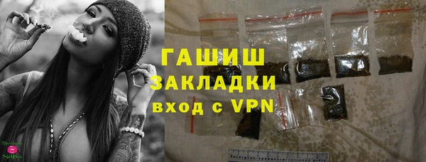 индика Бронницы