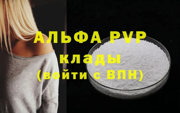 индика Бронницы