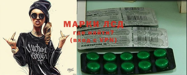индика Бронницы