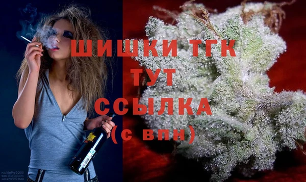 индика Бронницы