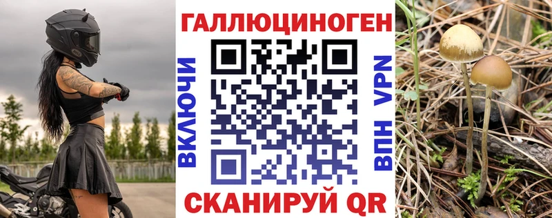 наркота  Гусь-Хрустальный  Галлюциногенные грибы мицелий 